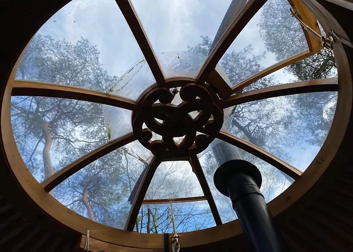 Ons Yurt Huisje In Het Bos